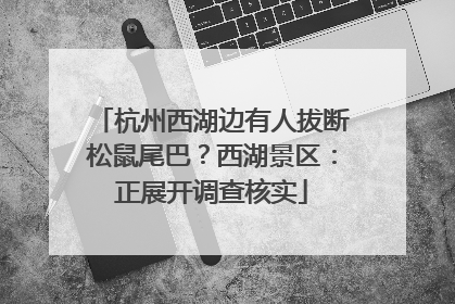 杭州西湖边有人拔断松鼠尾巴？西湖景区：正展开调查核实
