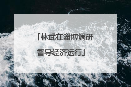 林武在淄博调研督导经济运行