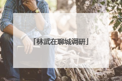 林武在聊城调研