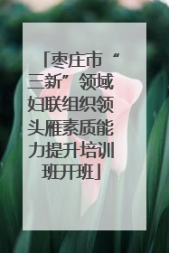 枣庄市“三新”领域妇联组织领头雁素质能力提升培训班开班