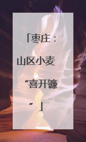 枣庄：山区小麦“喜开镰”