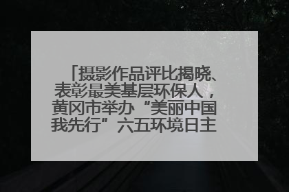 摄影作品评比揭晓、表彰最美基层环保人，黄冈市举办“美丽中国我先行”六五环境日主题宣传活动