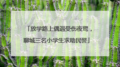 放学路上偶遇受伤夜鹭，聊城三名小学生求助民警