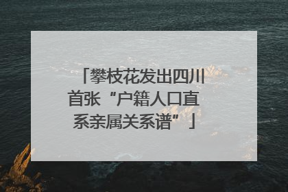 攀枝花发出四川首张“户籍人口直系亲属关系谱”