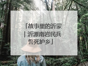 故事里的沂蒙｜沂源南岩民兵誓死护乡