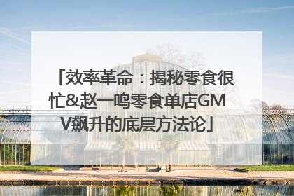效率革命：揭秘零食很忙&赵一鸣零食单店GMV飙升的底层方法论