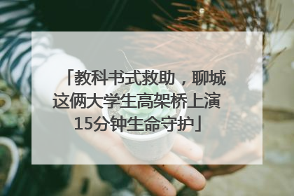 教科书式救助，聊城这俩大学生高架桥上演15分钟生命守护