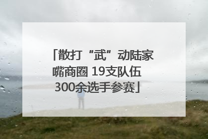 散打“武”动陆家嘴商圈 19支队伍300余选手参赛