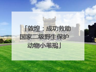 敦煌：成功救助国家二级野生保护动物小苇鳽