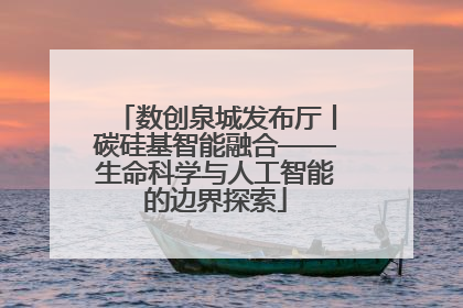数创泉城发布厅丨碳硅基智能融合——生命科学与人工智能的边界探索