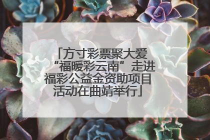 方寸彩票聚大爱 “福暖彩云南”走进福彩公益金资助项目活动在曲靖举行