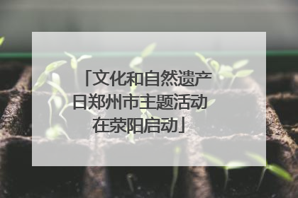 文化和自然遗产日郑州市主题活动在荥阳启动
