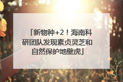 新物种+2！海南科研团队发现素贞灵芝和自然保护地壁虎
