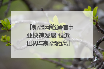 新疆网络通信事业快速发展 拉近世界与新疆距离