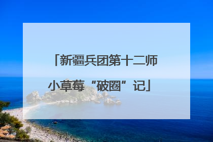 新疆兵团第十二师小草莓“破圈”记