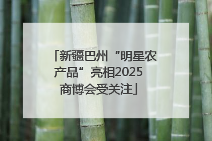 新疆巴州“明星农产品”亮相2025商博会受关注