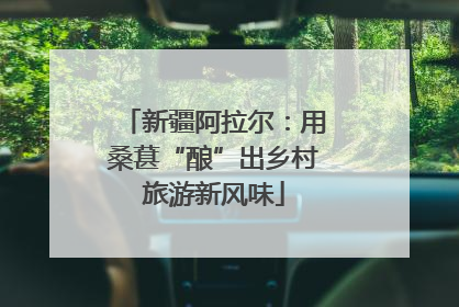 新疆阿拉尔：用桑葚“酿”出乡村旅游新风味