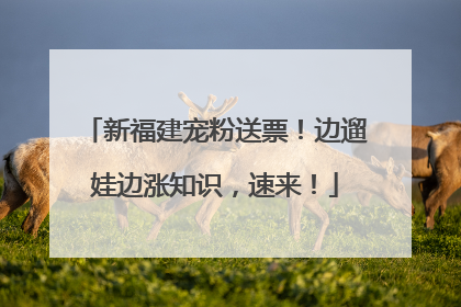新福建宠粉送票！边遛娃边涨知识，速来！
