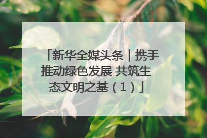 新华全媒头条｜携手推动绿色发展 共筑生态文明之基（1）