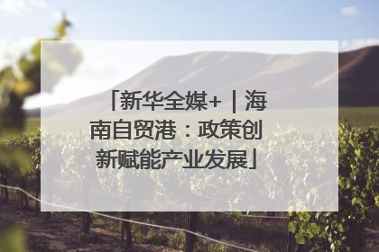 新华全媒+｜海南自贸港：政策创新赋能产业发展