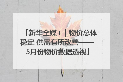 新华全媒+｜物价总体稳定 供需有所改善——5月份物价数据透视