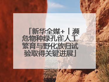 新华全媒+丨濒危物种绿孔雀人工繁育与野化放归试验取得关键进展