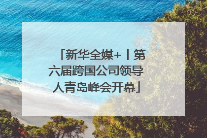 新华全媒+丨第六届跨国公司领导人青岛峰会开幕