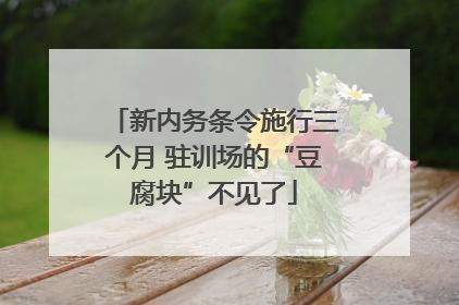 新内务条令施行三个月 驻训场的“豆腐块”不见了