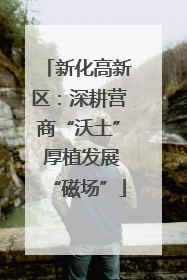 新化高新区：深耕营商“沃土” 厚植发展“磁场”