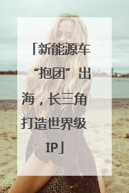 新能源车“抱团”出海，长三角打造世界级IP
