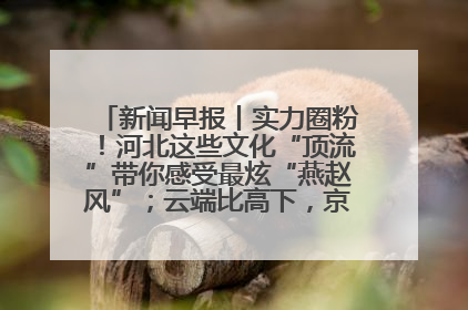 新闻早报丨实力圈粉！河北这些文化“顶流”带你感受最炫“燕赵风”；云端比高下，京津冀风筝高手“花式炫技”>>