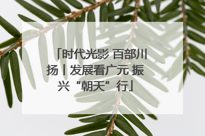 时代光影 百部川扬丨发展看广元 振兴“朝天”行