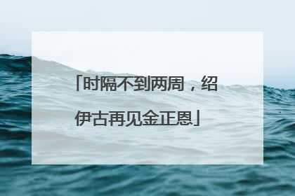 时隔不到两周，绍伊古再见金正恩