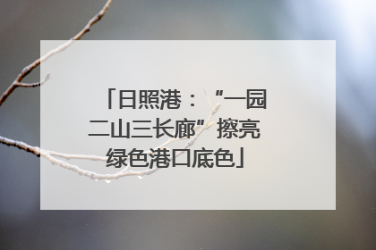 日照港：“一园二山三长廊”擦亮绿色港口底色