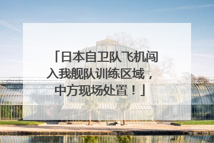 日本自卫队飞机闯入我舰队训练区域，中方现场处置！