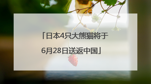 日本4只大熊猫将于6月28日送返中国
