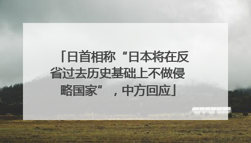 日首相称“日本将在反省过去历史基础上不做侵略国家”，中方回应