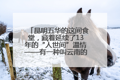 昆明五华的这间食堂，藏着延续了13年的“人世间”温情——有一种叫云南的生活之365天