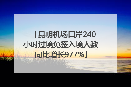 昆明机场口岸240小时过境免签入境人数同比增长977%