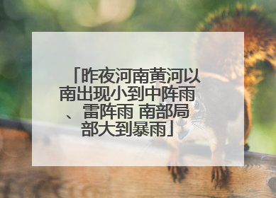 昨夜河南黄河以南出现小到中阵雨、雷阵雨 南部局部大到暴雨
