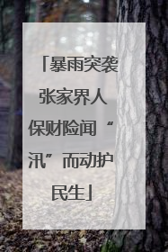 暴雨突袭 张家界人保财险闻“汛”而动护民生