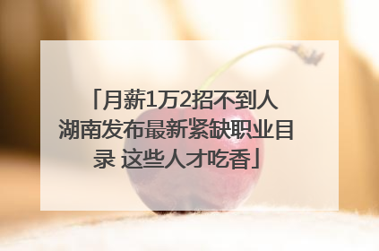 月薪1万2招不到人 湖南发布最新紧缺职业目录 这些人才吃香