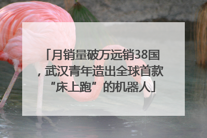 月销量破万远销38国，武汉青年造出全球首款“床上跑”的机器人