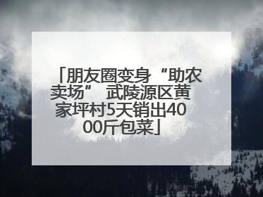朋友圈变身“助农卖场” 武陵源区黄家坪村5天销出4000斤包菜