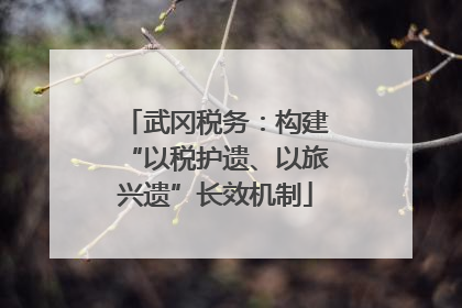 武冈税务：构建“以税护遗、以旅兴遗”长效机制