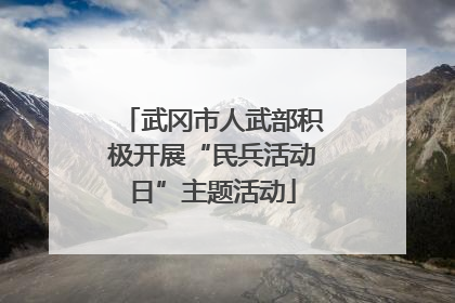 武冈市人武部积极开展“民兵活动日”主题活动