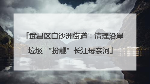 武昌区白沙洲街道：清理沿岸垃圾 “扮靓”长江母亲河