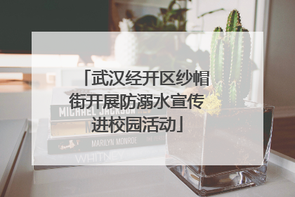 武汉经开区纱帽街开展防溺水宣传进校园活动
