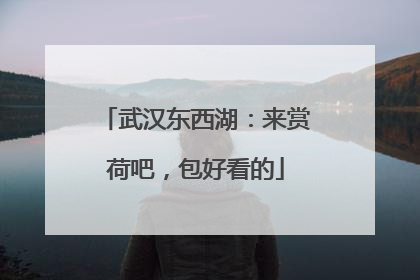 武汉东西湖：来赏荷吧，包好看的