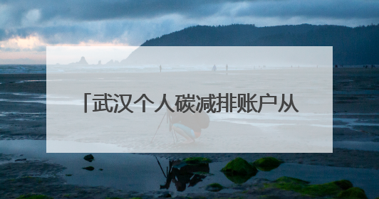 武汉个人碳减排账户从3万暴涨至160万